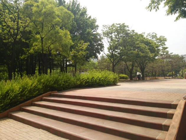 桂南公園内の風景